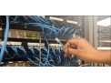 Lan Wired / Wifi / Telecommunication Networking for Home & Office